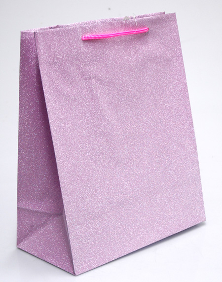 Large Gift Bags